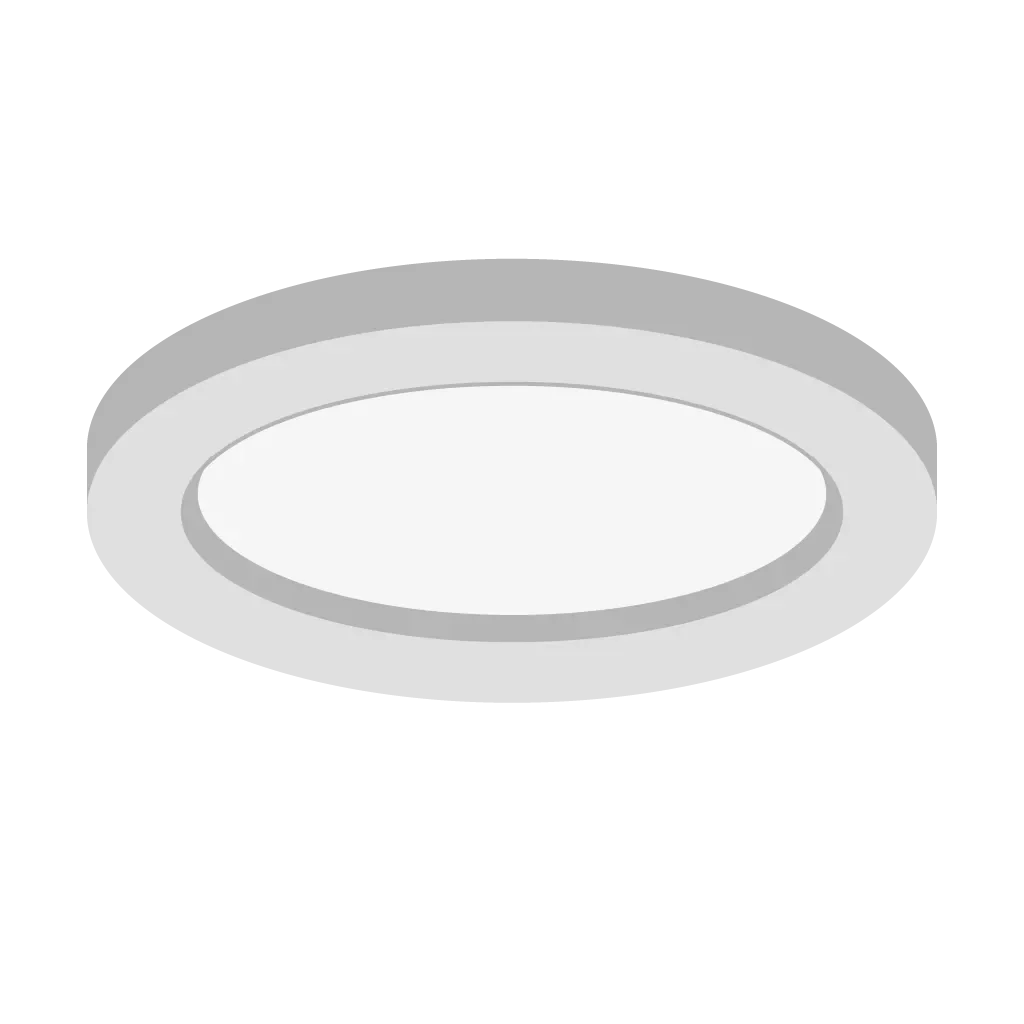 Disks & Flush Mounts