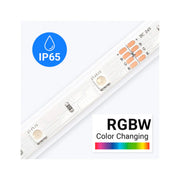 Outdoor RGBW Tape Light